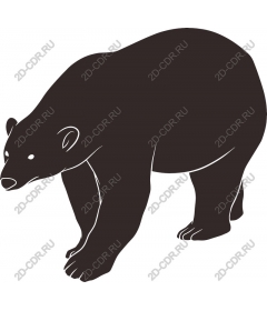 Элегантный медведь