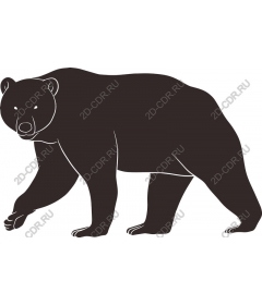  Bear - Walking bear and