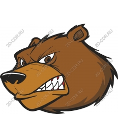 Head angry bear