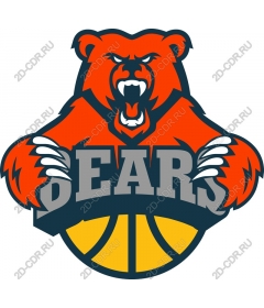  The logo of the basketball team Fierce Bear