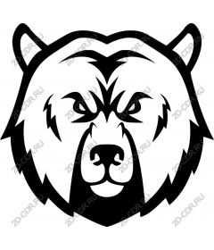  The majestic head of a bear