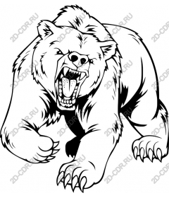  Ferocious bear