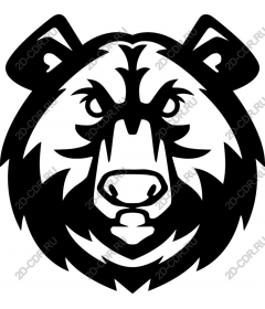  Bold bear's head