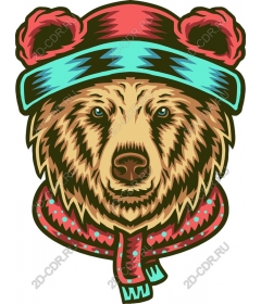  Bear in the hood