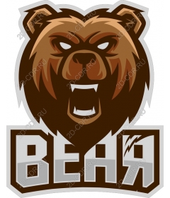  Ferocious bear