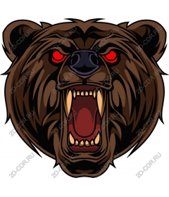 Roaring Bear