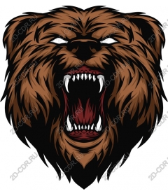 Head of a ferocious bear