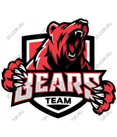  The Team Bears The Ferocious Roar