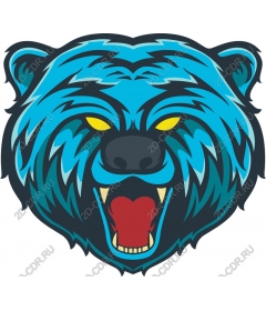  Blue Bear