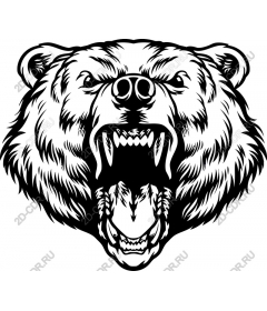  The roar of the grizzly bear