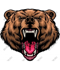 Head of a ferocious bear