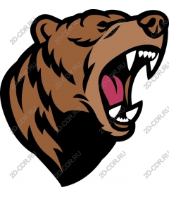 Head of a ferocious bear