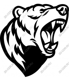 Head of roaring bear