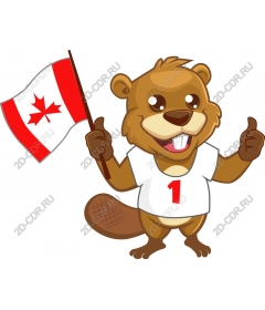  A truly canadian beaver