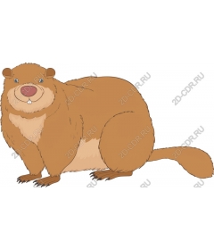  Adorable cartoon beaver