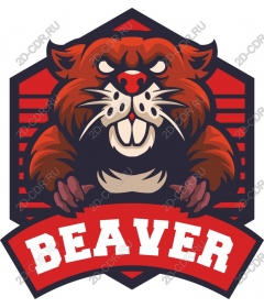  Fierce Beaver