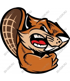  Angry squirrel