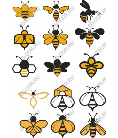  Set "Bee Bonanza"