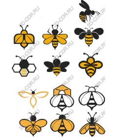  Collection on the theme of bees