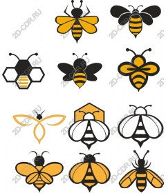  Collection of bees