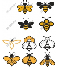  Collection of bees