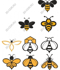 Bee Pack - Universal bee
