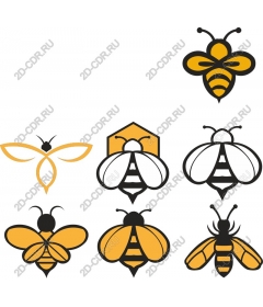  Collection of bees