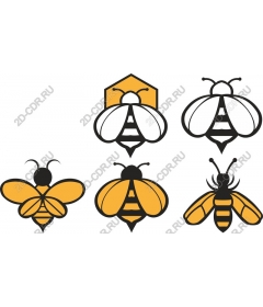  Collection of bees