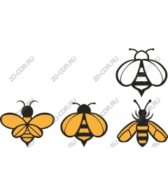  A collection inspired by the bees