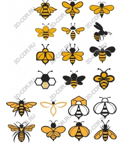 Set "Bright bee"