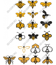  A collection of bees