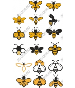 Buzzing beauties: a set of bees