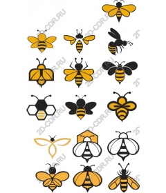  The collection's charming bees
