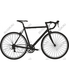  Elegant bike racing