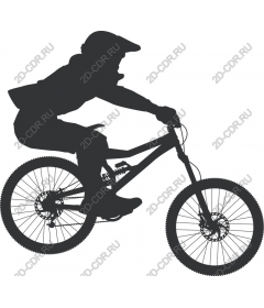 Dynamic rock rider