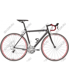  Elegant bike racing