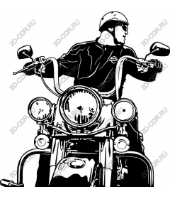 Dynamic Rider
