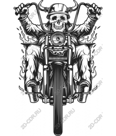 Мотоцикл Skull Rider