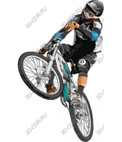 Dynamic rock rider