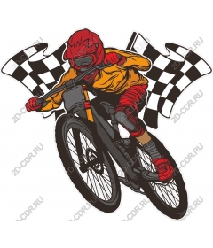 Dynamic rock rider