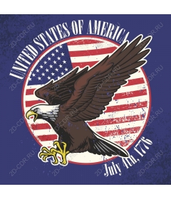 Patriotic bald eagle