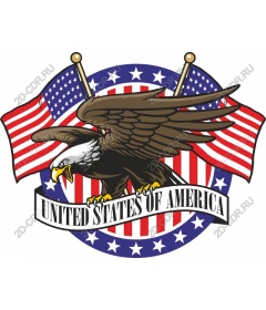  Patriotic eagle
