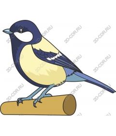  Adorable chickadee