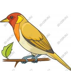  Bright Bird