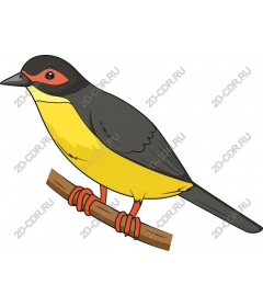  Bright bird sitting on a branch