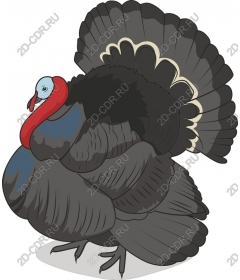  Turkey — the perfect dish for thanksgiving and other holidays