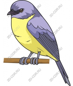  Bright Bird