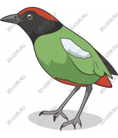  Bright green bird