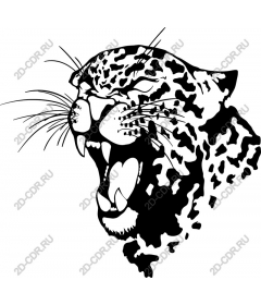  Ferocious roaring Jaguar
