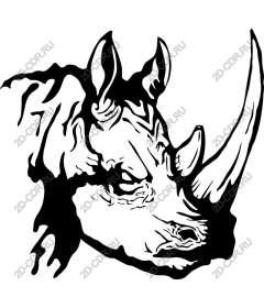 The majestic work of a rhinoceros
